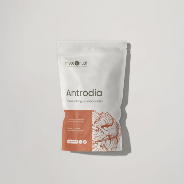 Antrodia Powder 100g