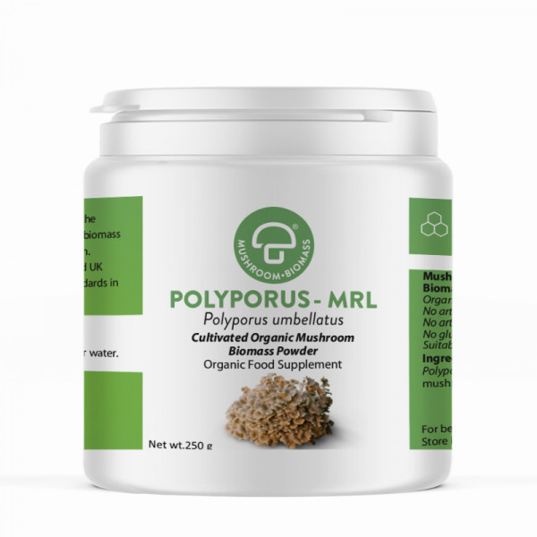 Polyporus-MRL (Polyporus umbellatus) Powder 250gr